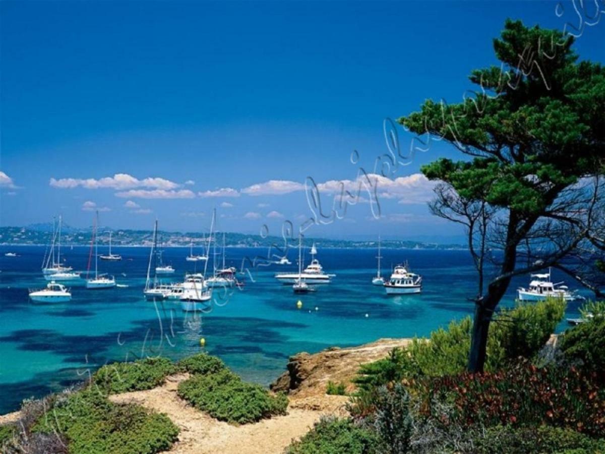 Magnifique Parc De La Presqu'Ile Avec Piscine Et Plage Face A Porquerolles ! Hyères المظهر الخارجي الصورة
