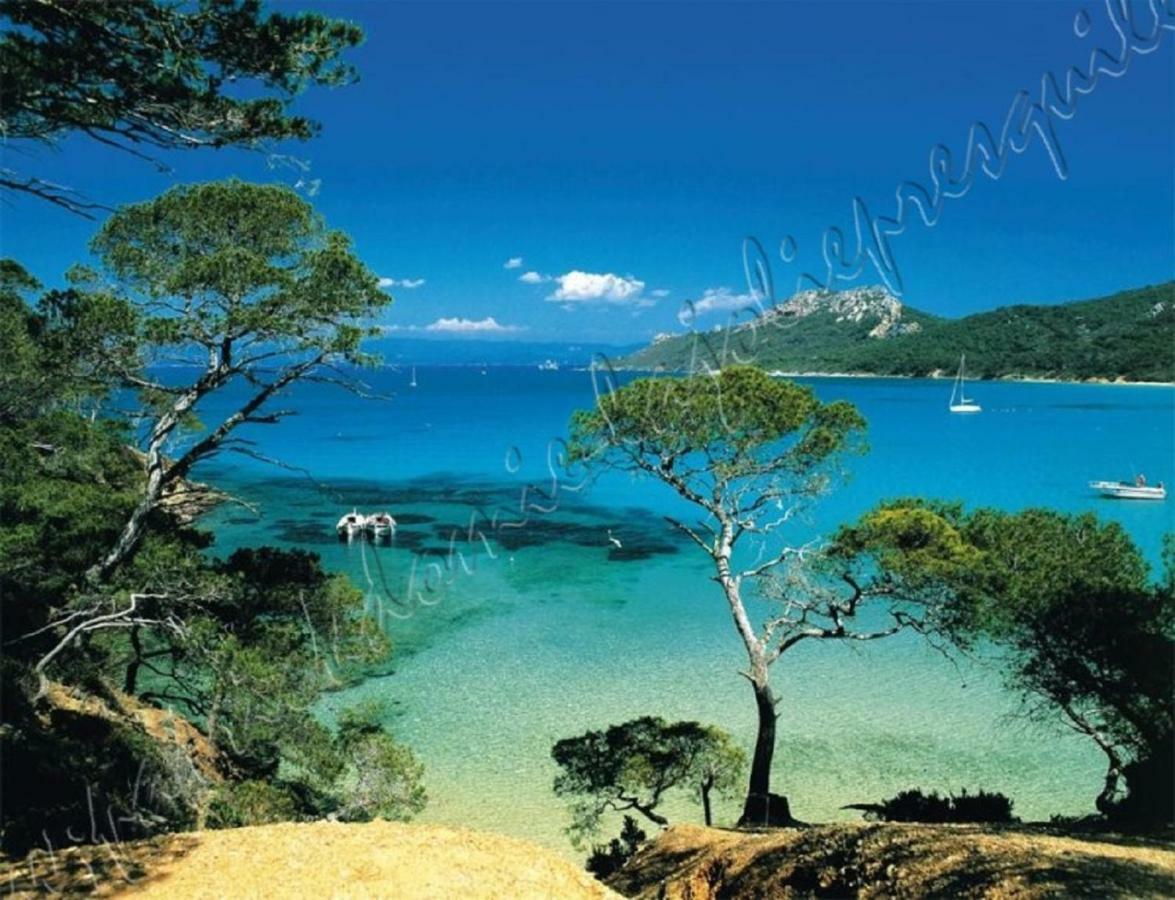 Magnifique Parc De La Presqu'Ile Avec Piscine Et Plage Face A Porquerolles ! Hyères المظهر الخارجي الصورة